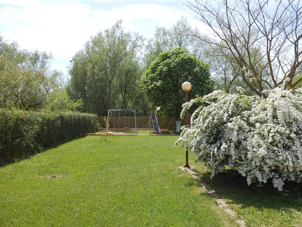 Zisis Garden Studios Ioánnina Exteriér fotografie