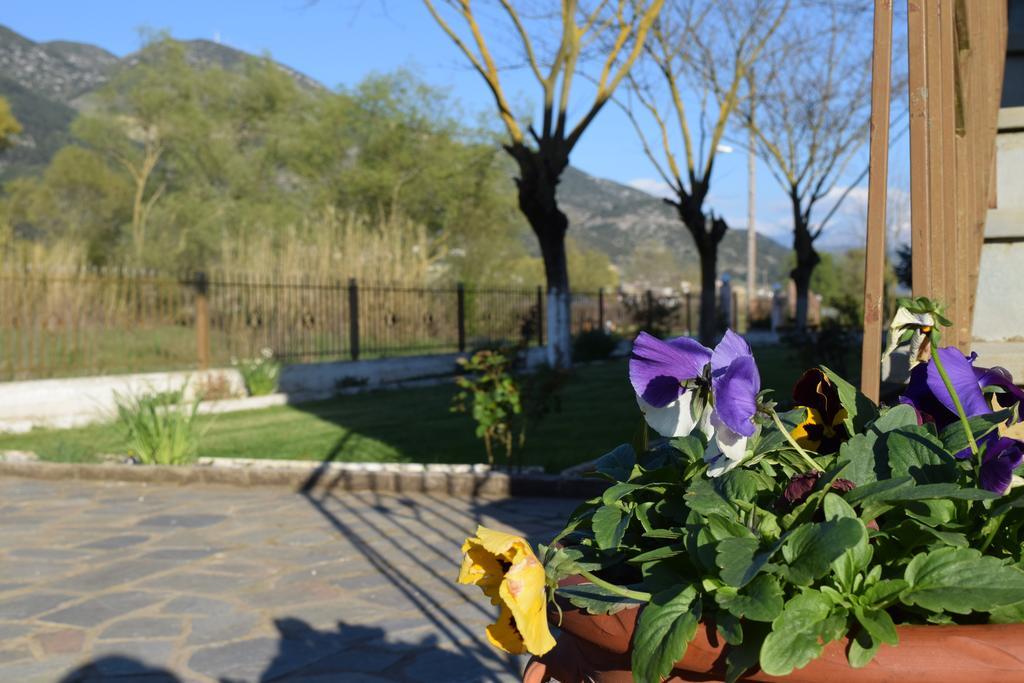 Zisis Garden Studios Ioánnina Exteriér fotografie